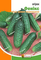 Огірок Фенікс Яскрава 5 г