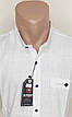 Чоловіча теніска біла однотонна приталені Туреччина G-Port vкs-0002 комір стійка льон, ошатна, фото 8
