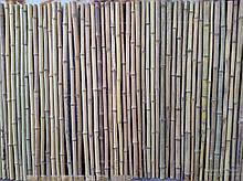Бамбуковий паркан (1500х3000)