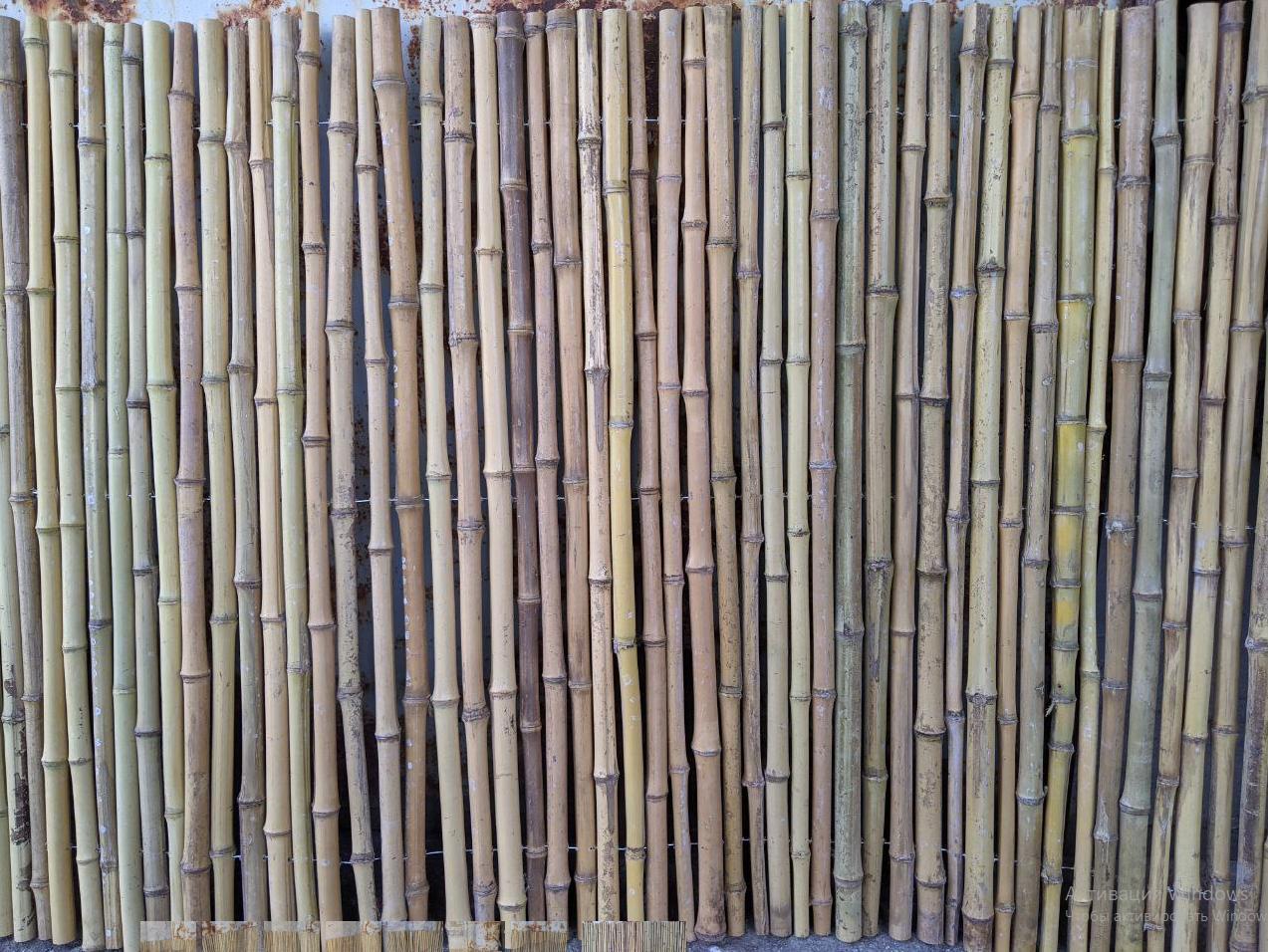 Бамбуковый забор (1500х3000) - фото 1 - id-p1436419345