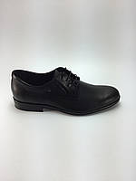 Туфли мужские классические Stepter кожаные, черные