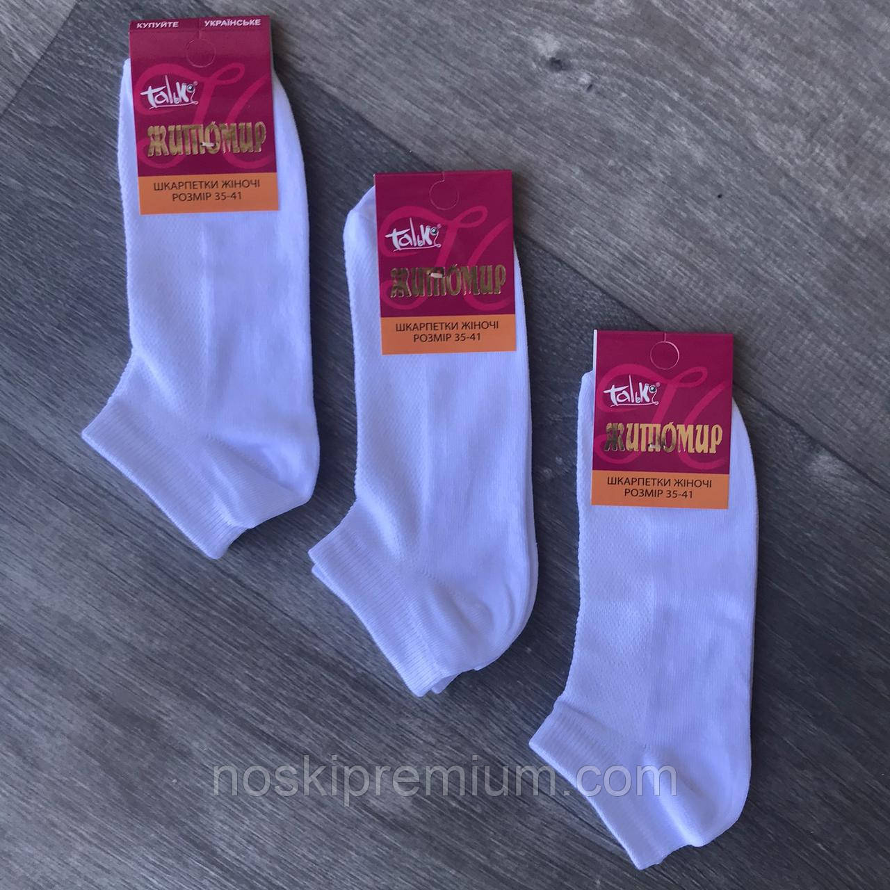 Шкарпетки жіночі короткі бавовна з сіткою Талько, Житомир, розмір 35-41, білі, 02721