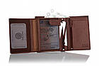 Чоловічий шкіряний гаманець Betlewski з RFID 10 х 12,9 х 2,5 (BPM-GTAN-575) - коричневий, фото 9