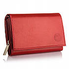 Жіночий шкіряний гаманець Betlewski з RFID 13 х 9 х 3,5 (BPD-DZ-11)- червоний, фото 2