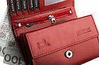 Жіночий шкіряний гаманець Betlewski з RFID 13 х 9 х 3,5 (BPD-DZ-11)- червоний, фото 3