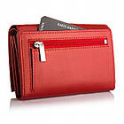 Жіночий шкіряний гаманець Betlewski з RFID 13 х 9 х 3,5 (BPD-DZ-11)- червоний, фото 4