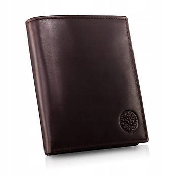 Чоловічий шкіряний гаманець Betlewski з RFID 12,5 х 10,5 х 2,5 (BPM-NVTC-307) - коричневий