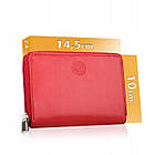 Жіночий шкіряний гаманець Betlewski з RFID 14,5 х 10 х 2 (BPD-DZ-361) - червоний, фото 2
