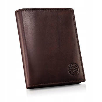 Чоловічий шкіряний гаманець Betlewski з RFID 12,5 х 10,2 х 2,5 (BPM-NVTC-300) - коричневий