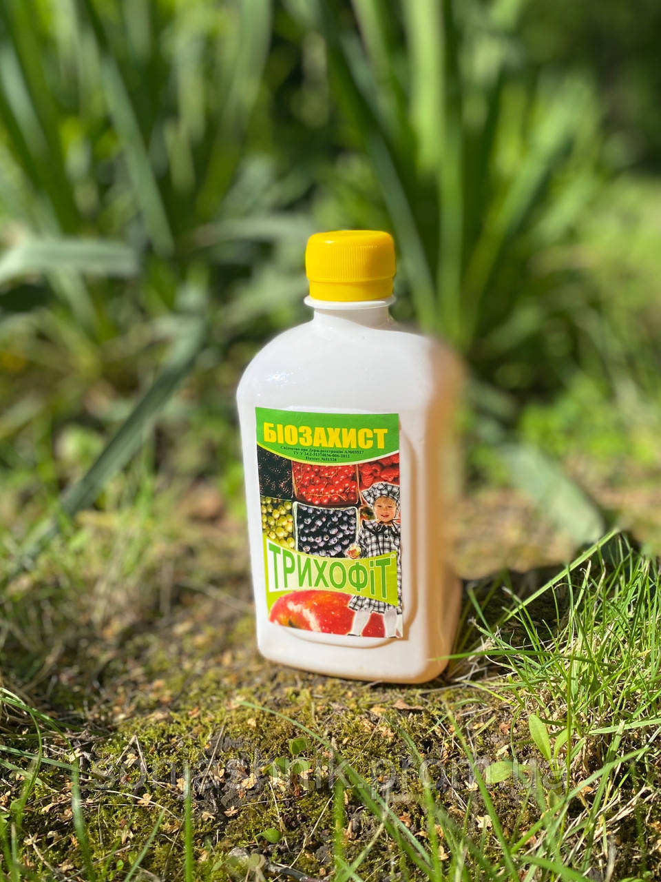 Трихофіт 500мл
