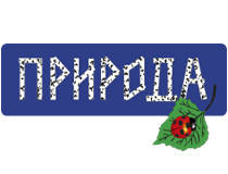 Корм для гризунів Природа Коктейль Україна