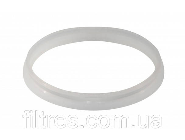 Ущільнювальне кільце до колби нержавіюча сталь 2Р 10", фото 1