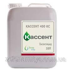 Інсектицид Кассент 400, КС.  (  TERRA VITA  )   5 л.  10 л.