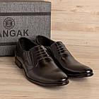 Чоловічі шкіряні туфлі AVA De Lux, фото 7