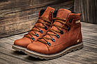 Чоловічі зимові шкіряні черевики CAT Expensive Fox, фото 3