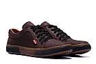 Чоловічі шкіряні кеди Levis Chocolate Classic, фото 4