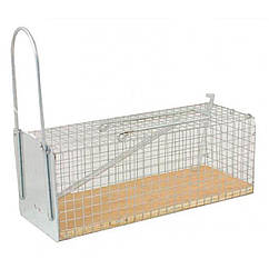 Purянка-клітинка живоловлюча Chomik