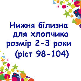 Нижня білизна для хлопчика, розмір 2-3 роки (ріст 98-104)