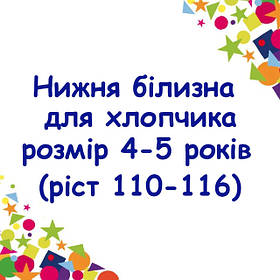 Нижня білизна для хлопчика, розмір 4-5 років (ріст 110-116)