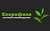 Хлорофіл Рідкий Рідкість Chlorofil Chlorophyll Натуральний 473 мл MyVita Польща Доставка з ЄС, фото 3