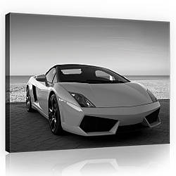 Картина на полотні 100х75 см Чорно-білий Ламборджіні (PP11393O1) Найкраща якість