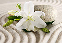 Флизелиновые фотообои в гостиную 3д цветы 368x254 см Большая белая лилия и камень на песке (3522V8) Лучшее