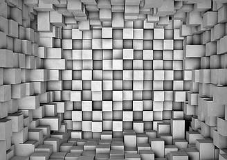 Фотошпалери флізелінові 3D 312x219 см Область в квадратах (2505VEXXL) Найкраща якість