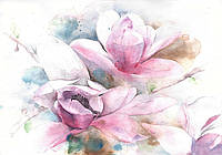 Флизелиновые фото обои красивые 368 x 254 см Живопись - Пастельные акварельные цветы 13008V8 Лучшее качество