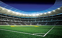Флизелиновые футбольные 3D фото обои 312х219 см стадион (1213VEXXL) Лучшее качество