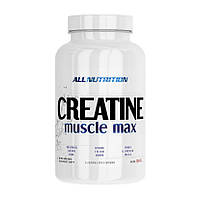 Креатин моногидрат All Nutrition Creatine Muscle Max (250 г) алл нутришн unflavored