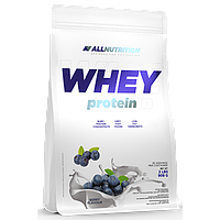 Сывороточный протеин концентрат AllNutrition Whey Protein (900 г) алл нутришн Blueberry