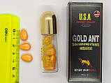 Gold ant золотий мураха, фото 7
