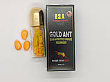 Gold ant золотий мураха, фото 10