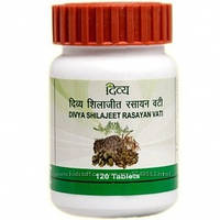 Муміє Шиладжит Расаян Ваті, дів'я 120 т., Патандджі, Divya Shilajeet Rasayan Vati