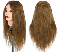 Болванка парикмахерская для причесок и окрашивания с натуральными волосами 100% Human Hair