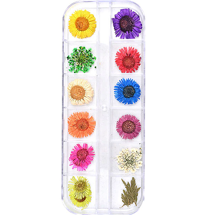 Сухоцвіти набір No02 12 шт., фото 1