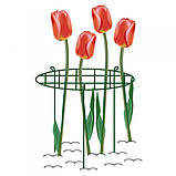 Опора для рослин кільцева 60 см, Ø40 см, TYRP14060S, фото 3