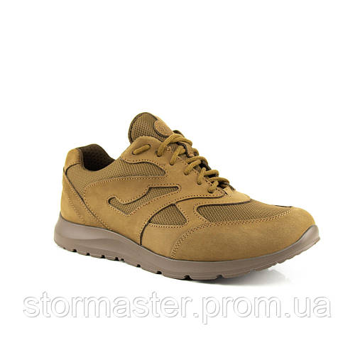 Тактические Кроссовки STIMUL Пантера, цена 1500 грн — Prom.ua (ID ...