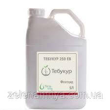Фунгіцид Тебукур 250, мв.е.   (  TERRA VITA  )    10 л., фото 1