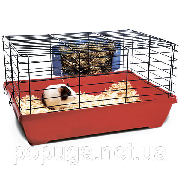 Savic James САВІК ДЖЕЙМС карта для морських свинок, фото 1