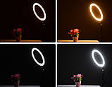 Кільцева LED лампа з пультом діаметр 12"-028 (30 см) Black 1 кріпл.тел USB (Без штативу), фото 5
