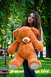 Плюшевий ведмедик м'яка іграшка Томии 100 см Карамельний, фото 3