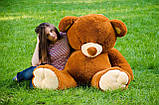Плюшевий ведмедик м'яка іграшка Томии 180 см Коричневий, фото 3