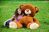 Плюшевий ведмедик м'яка іграшка Томии 180 см Коричневий, фото 4