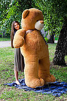 М'яка іграшка Великий плюшевий ведмедик мішка Ветли 250 см Коричневий Подарунок дівчині