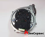 Вентилятор на газовий котел Ariston Cares Premium 65114234, фото 3