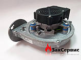 Вентилятор на газовий котел Ariston Cares Premium 65114234, фото 9