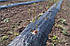 Агротканина AGROCOVER p-100 4,2 м х 100м чорна JUTA a.s.  Чехія, фото 4