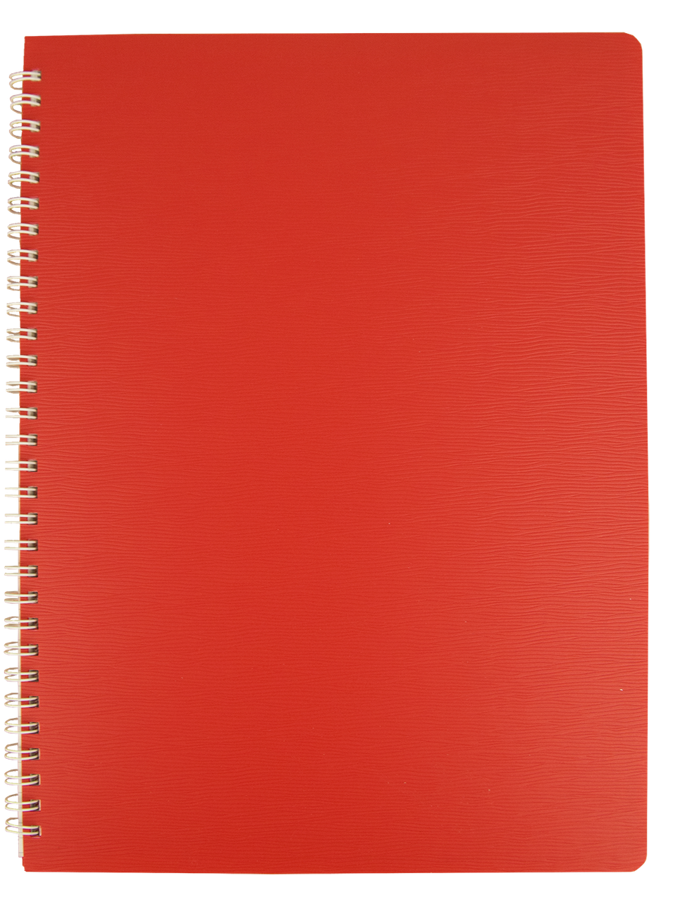 Зошит для записів А4 60 л клітинка, пластикова обкладинка, червона