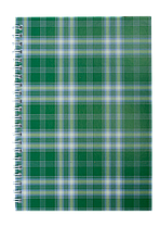 Зошит для записів SHOTLANDKA, А5, 48 аркушів клітка, картонна обкладинка, зелена